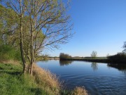 Saaleufer