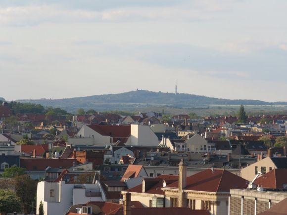 Zu Himmelfahrt zum Petersberg